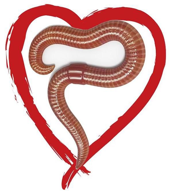 Foot Worm the Musical